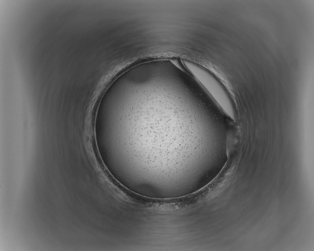 X0000112360673200908271254