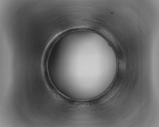 X0000112360676200908271254