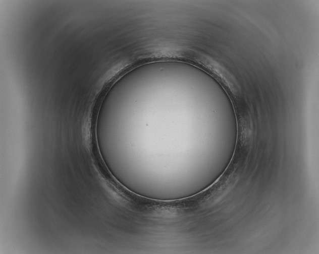 X0000112360677200908271254