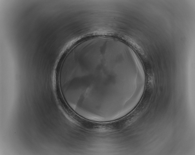 X0000112360678200908271254