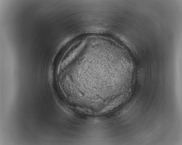 X0000112360679200908271254