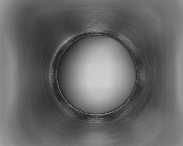 X0000112360680200908271254