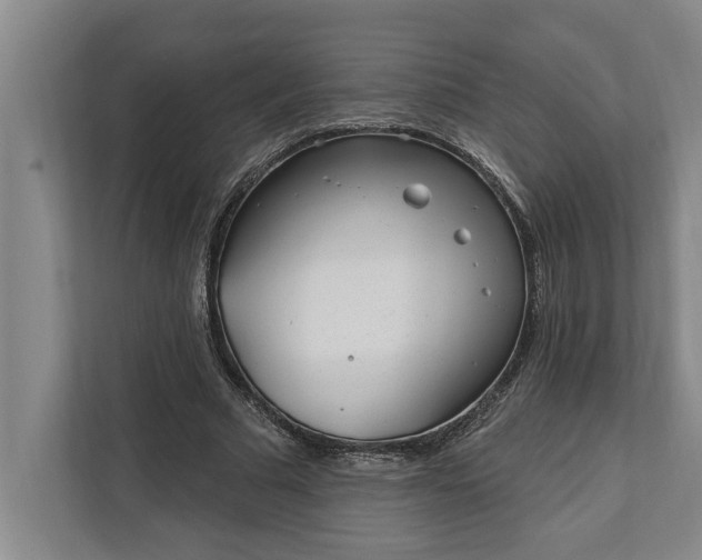 X0000112360681200908271254