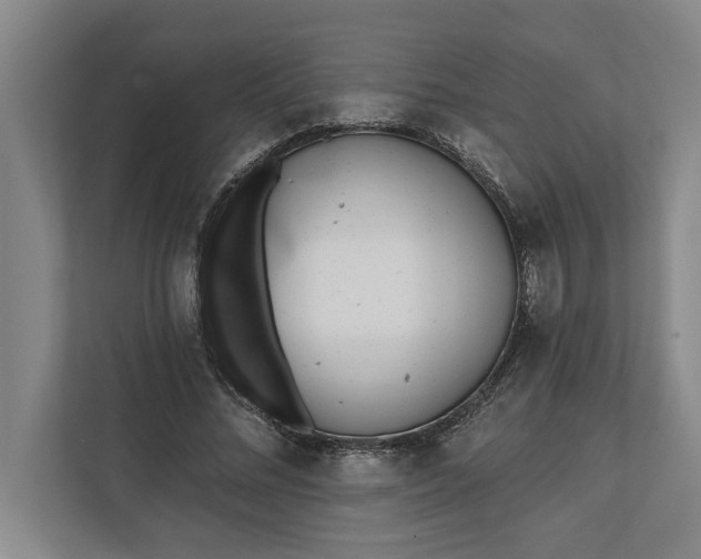 X0000112360684200908271253