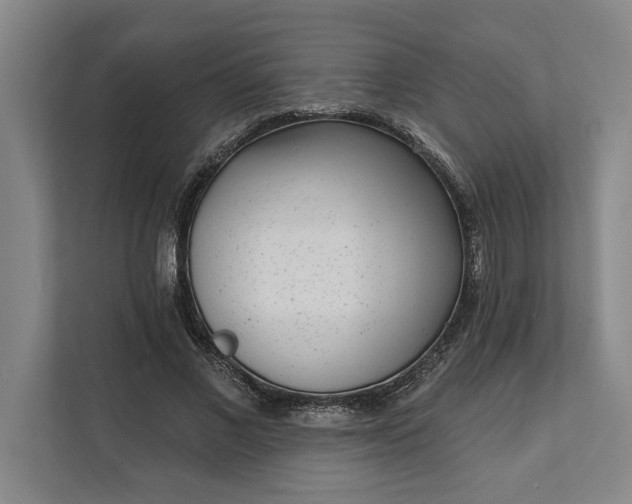 X0000112360685200908271253