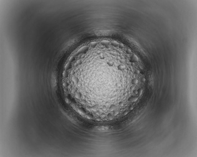 X0000112360687200908271253