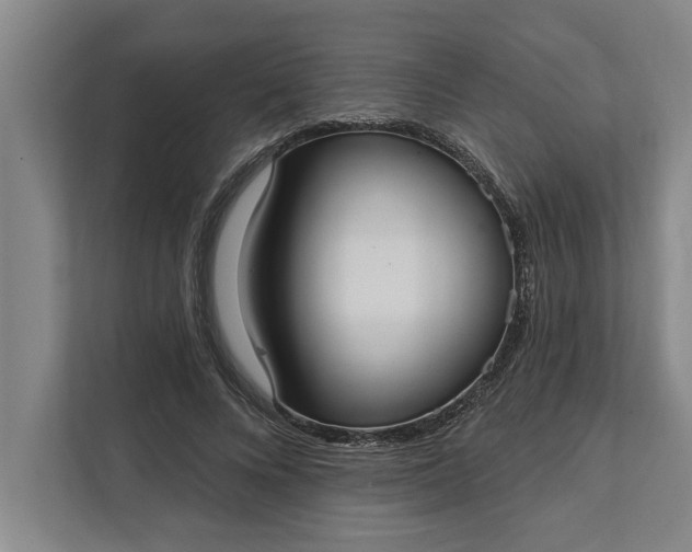 X0000112360688200908271253