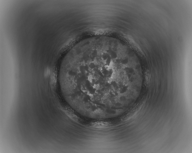 X0000112360691200908271253