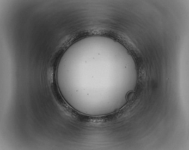 X0000112360694200908271253