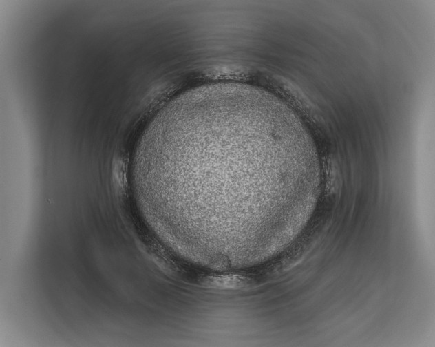 X0000112360695200908271253