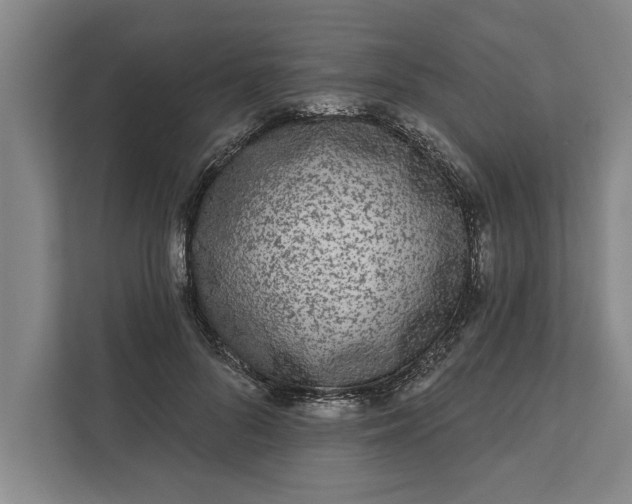 X0000112360696200908271253