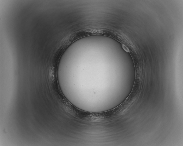 X0000112360697200908271253