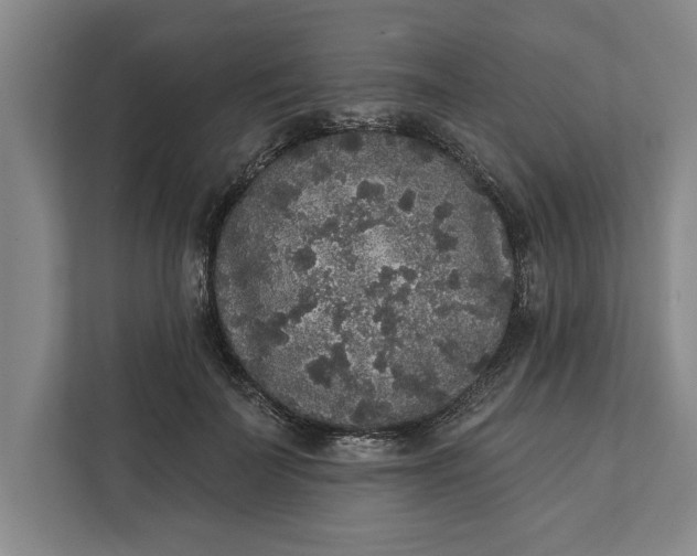 X0000112360699200908271253