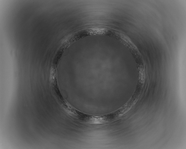 X0000112360701200908271253