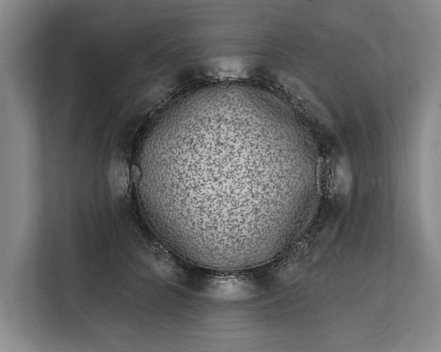 X0000112360704200908271253