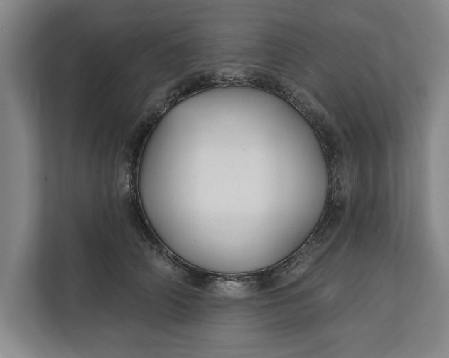 X0000112360706200908271253