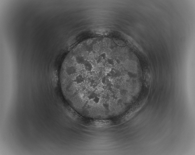 X0000112360707200908271253