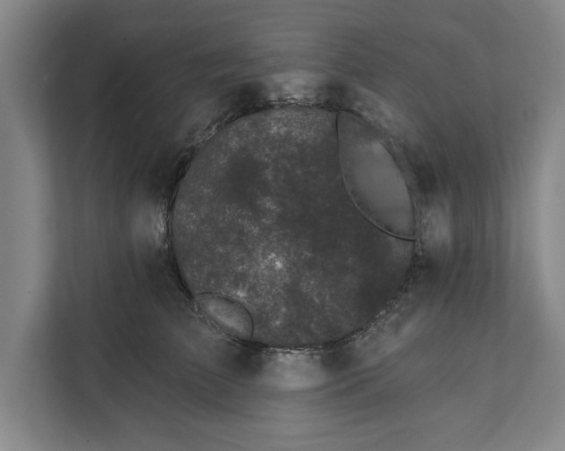 X0000112360709200908271253