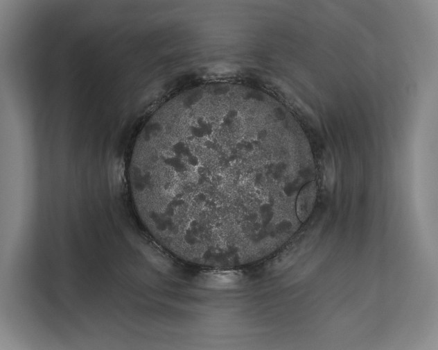 X0000112360711200908271253