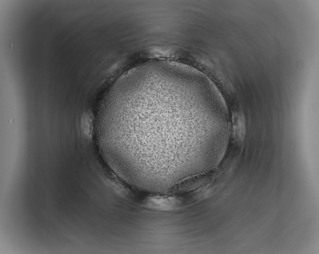 X0000112360712200908271253