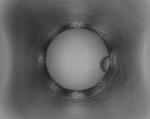 X0000112360714200908271253