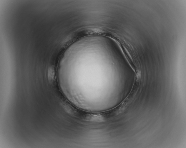 X0000112360715200908271253