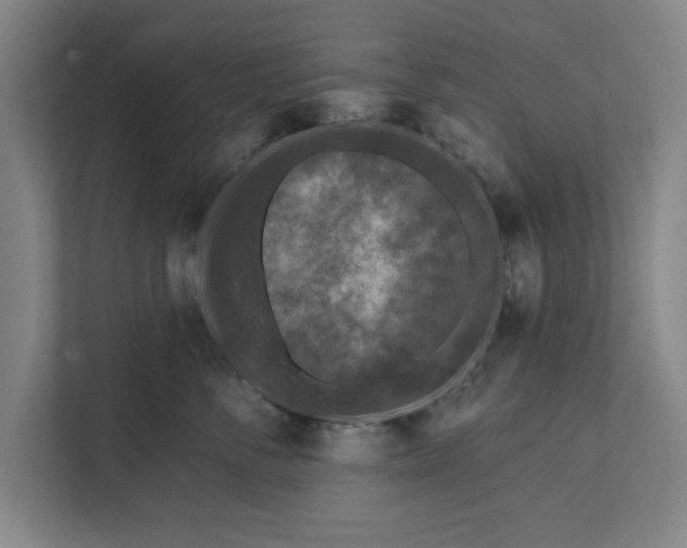 X0000112360716200908271253