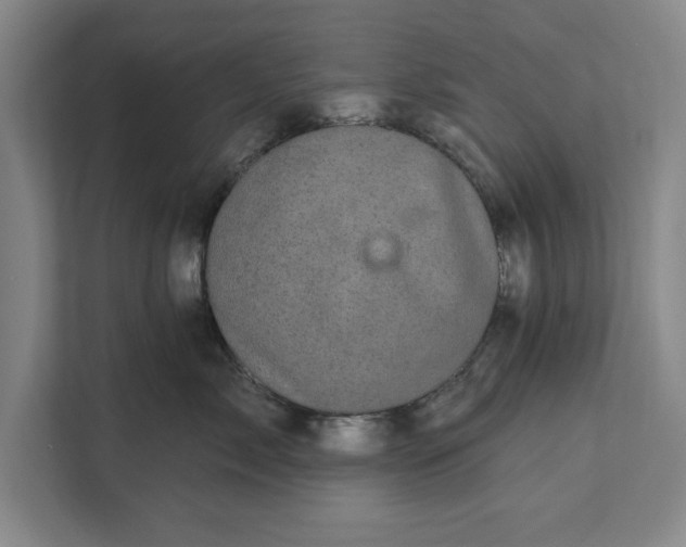 X0000112360717200908271253