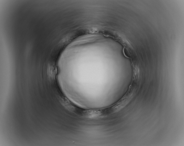 X0000112360719200908271253