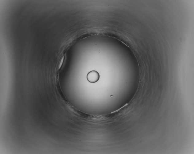 X0000112360720200908271253