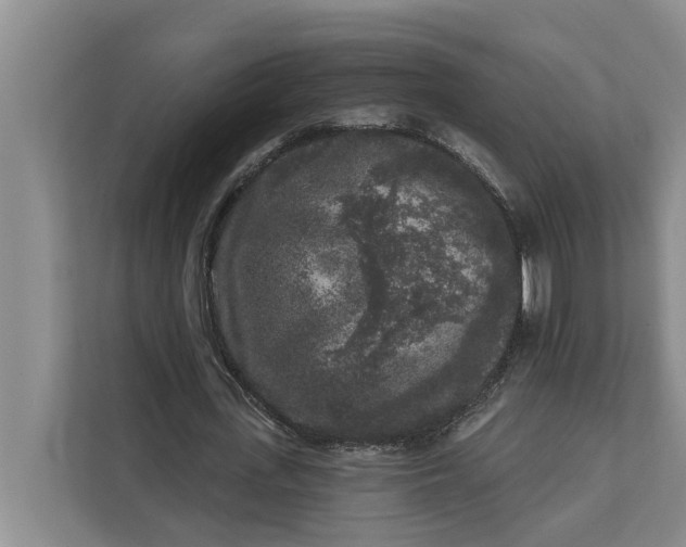 X0000112360723200908271252