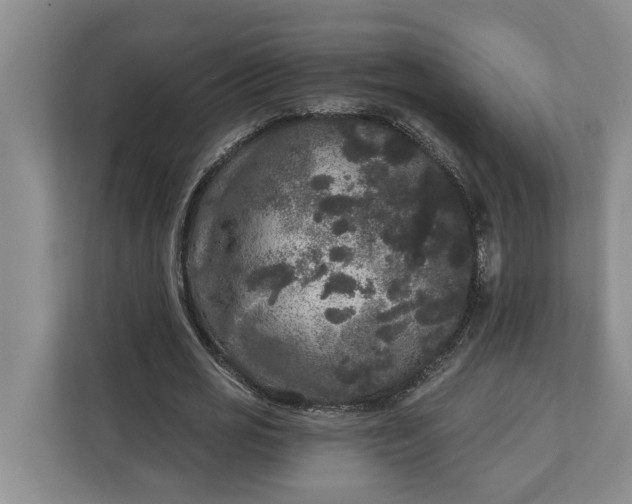 X0000112360725200908271252