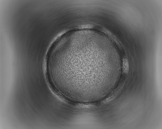 X0000112360726200908271252