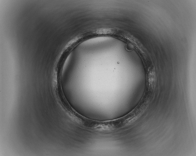 X0000112360727200908271252