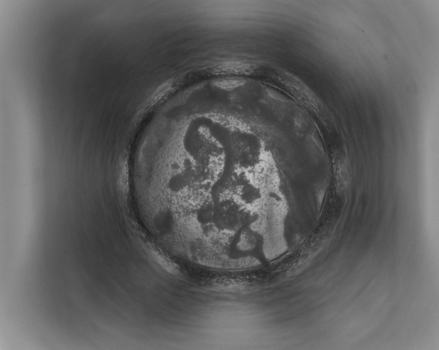 X0000112360729200908271252