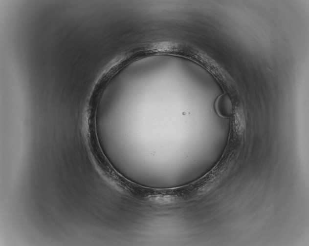 X0000112360730200908271253