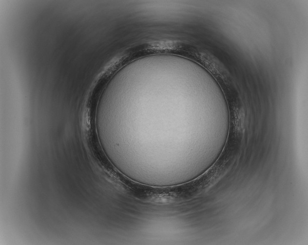 X0000112360731200908271253