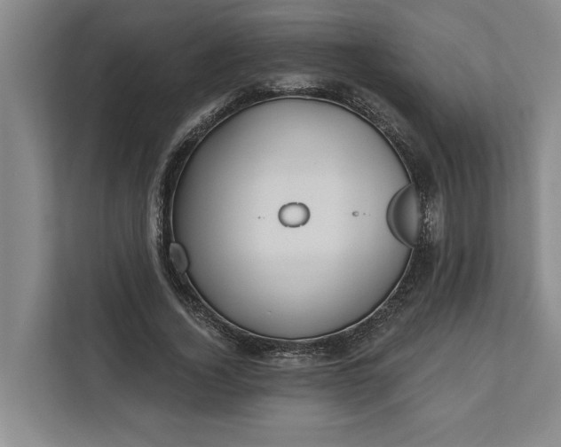 X0000112360732200908271253