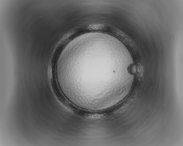 X0000112360734200908271253