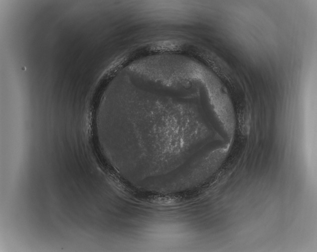 X0000112360735200908271253