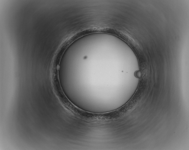 X0000112360736200908271253