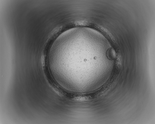 X0000112360738200908271253