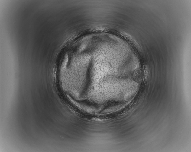 X0000112360739200908271253