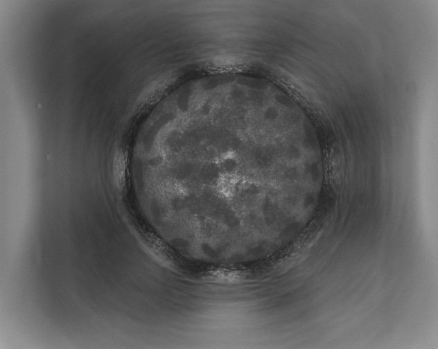 X0000112360742200908271253