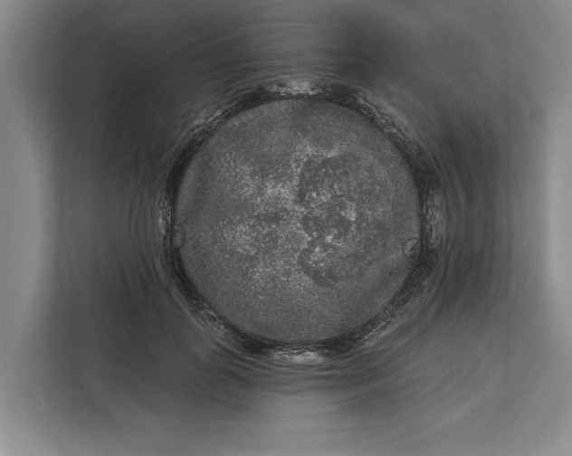 X0000112360747200908271253