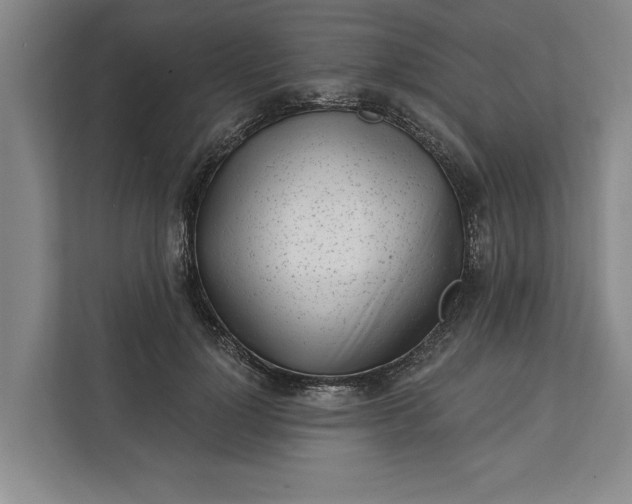 X0000112360748200908271253