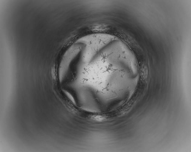 X0000112360755200908271253