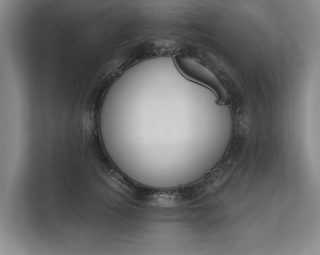 X0000112360756200908271253