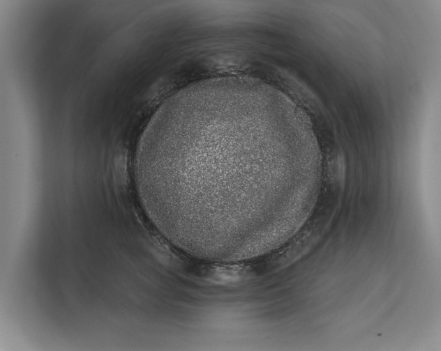 X0000112360757200908271253