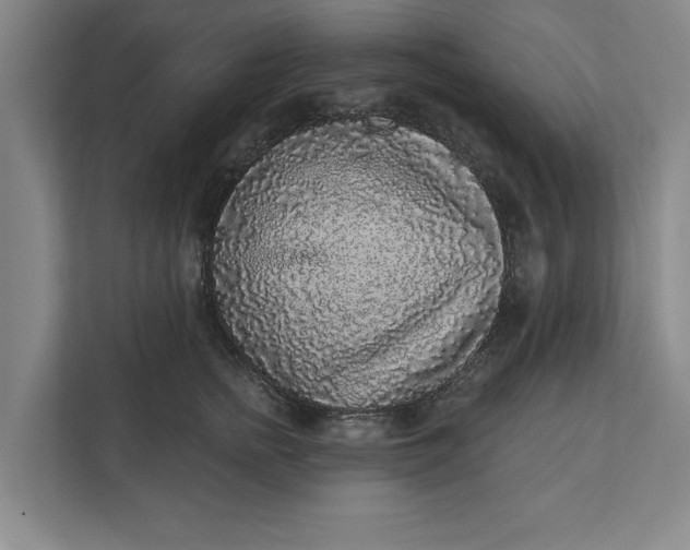 X0000112360758200908271253